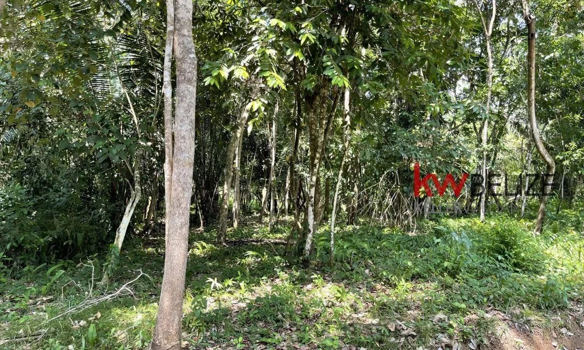 kellerwilliamsbelize-l3001-10