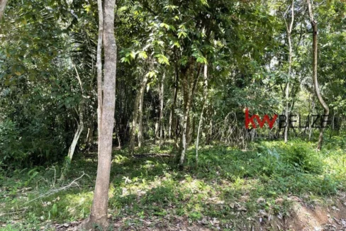 kellerwilliamsbelize-l3001-10