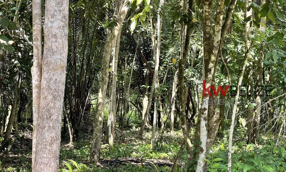 kellerwilliamsbelize-l3001-11