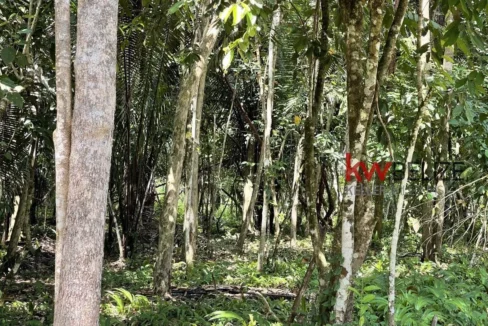 kellerwilliamsbelize-l3001-11