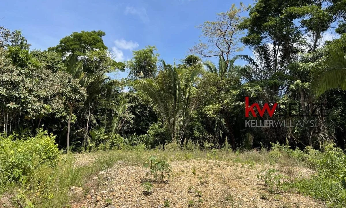 kellerwilliamsbelize-l3001-12
