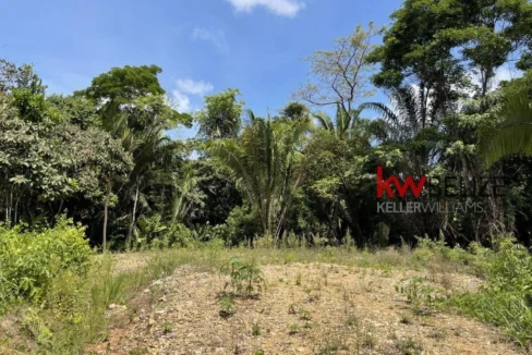 kellerwilliamsbelize-l3001-12