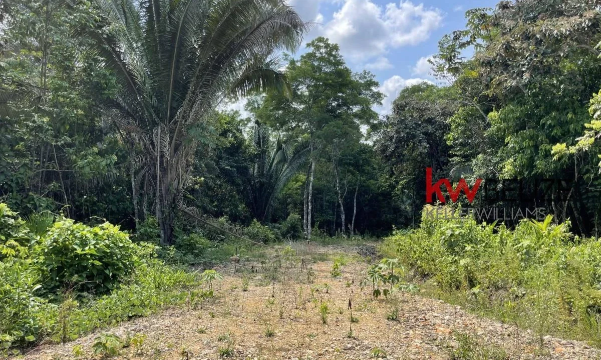 kellerwilliamsbelize-l3001-13