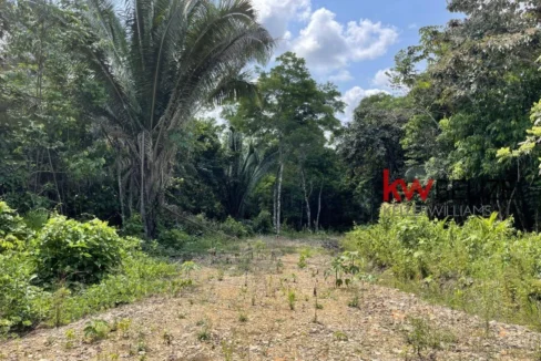 kellerwilliamsbelize-l3001-13
