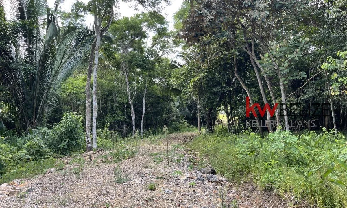 kellerwilliamsbelize-l3001-14