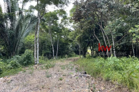 kellerwilliamsbelize-l3001-14