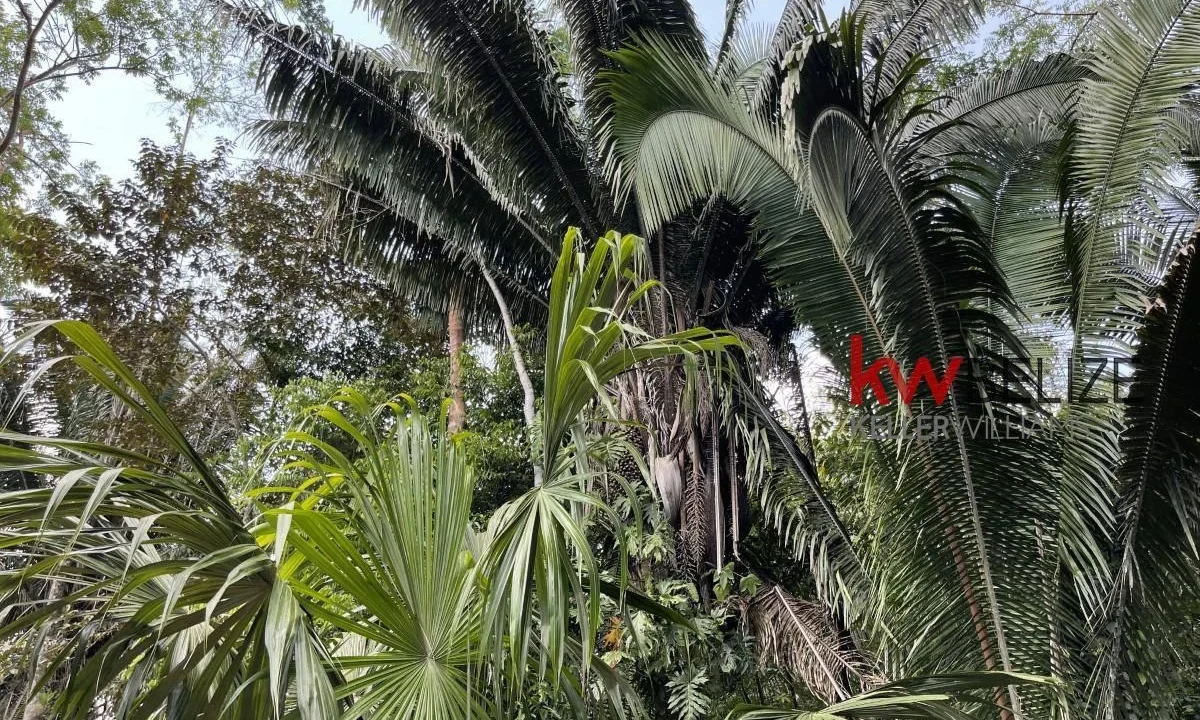 kellerwilliamsbelize-l3001-15