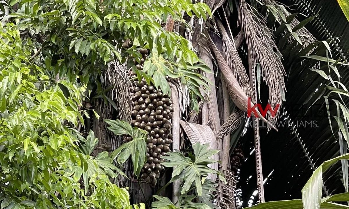 kellerwilliamsbelize-l3001-16
