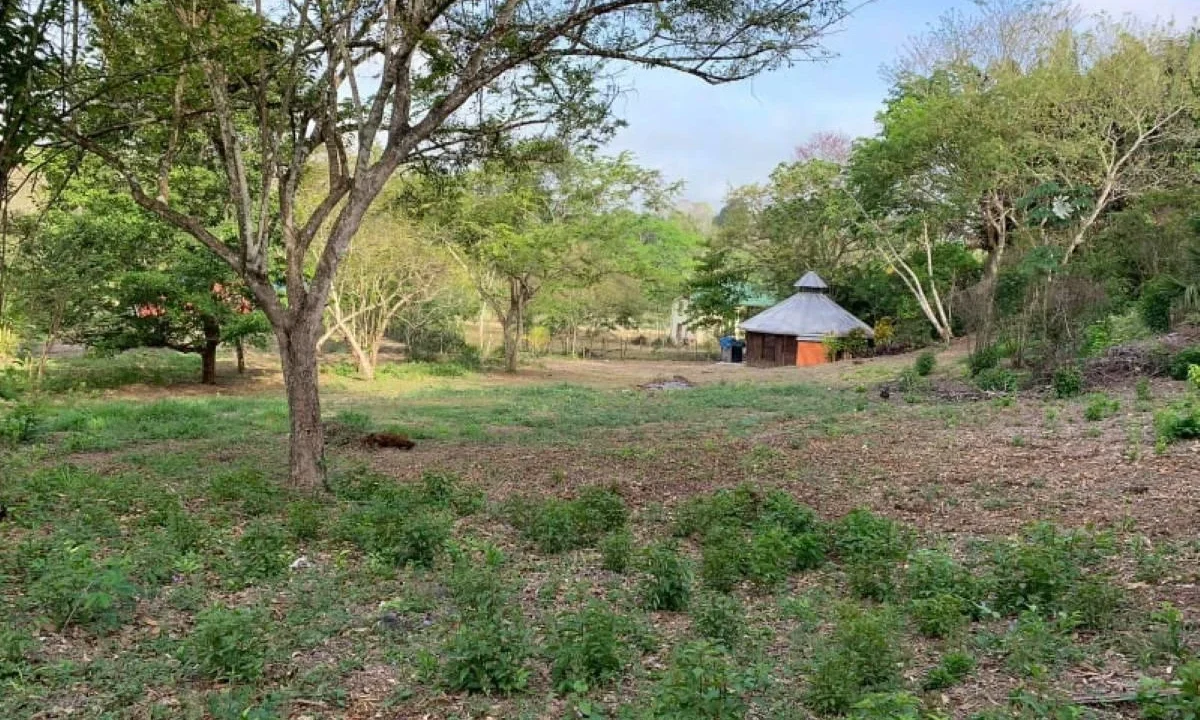 kellerwilliamsbelize-l302111bt-01