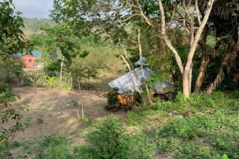 kellerwilliamsbelize-l302111bt-02