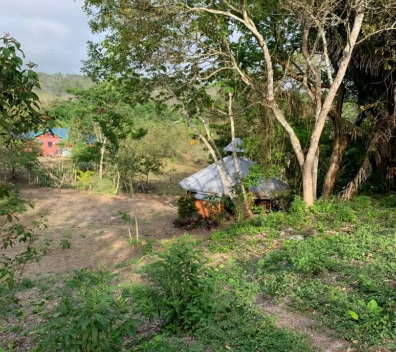 kellerwilliamsbelize-l302111bt-02