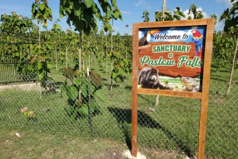 kellerwilliamsbelize-lh062312bt-05