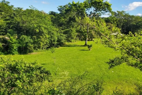 kellerwilliamsbelize-lh062312bt-30