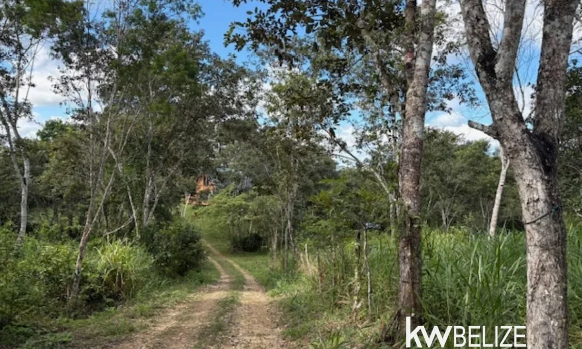 kellerwilliamsbelize-lh202601cc-20