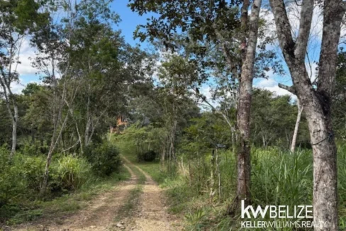 kellerwilliamsbelize-lh202601cc-20
