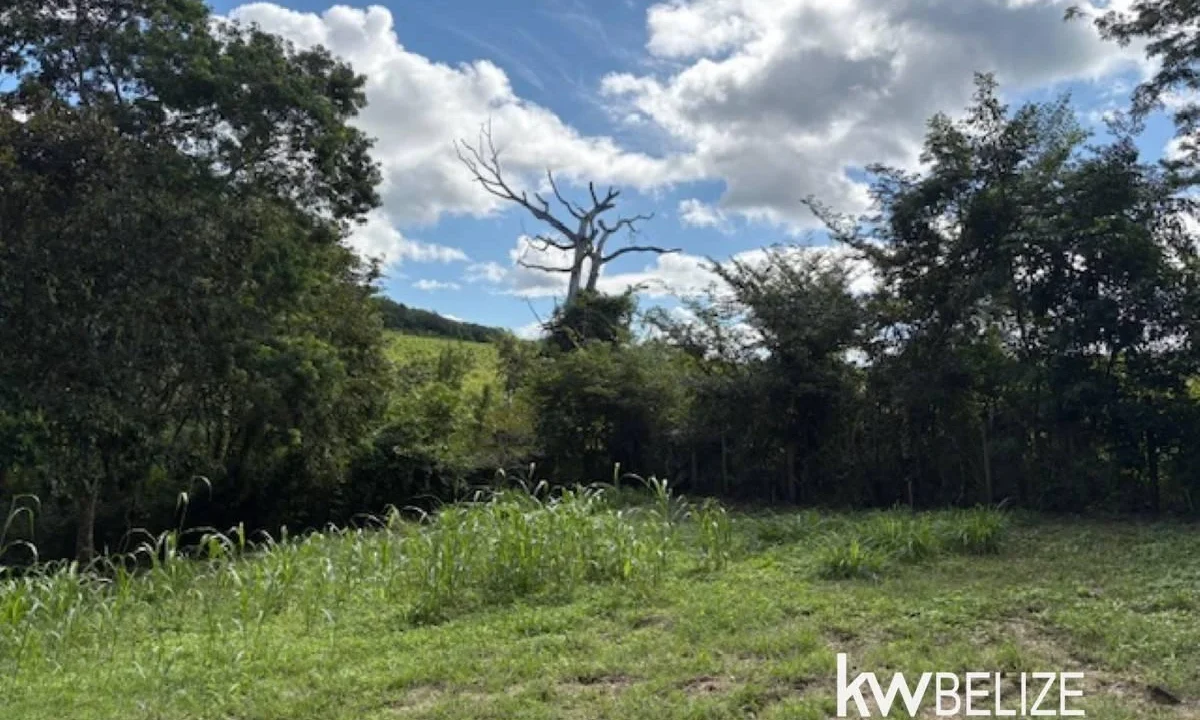 kellerwilliamsbelize-lh202601cc-22