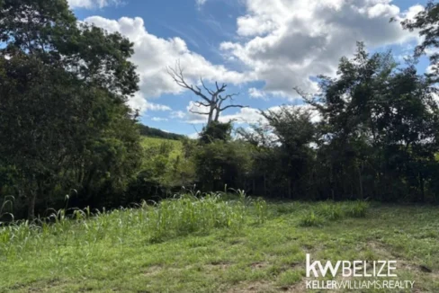 kellerwilliamsbelize-lh202601cc-22