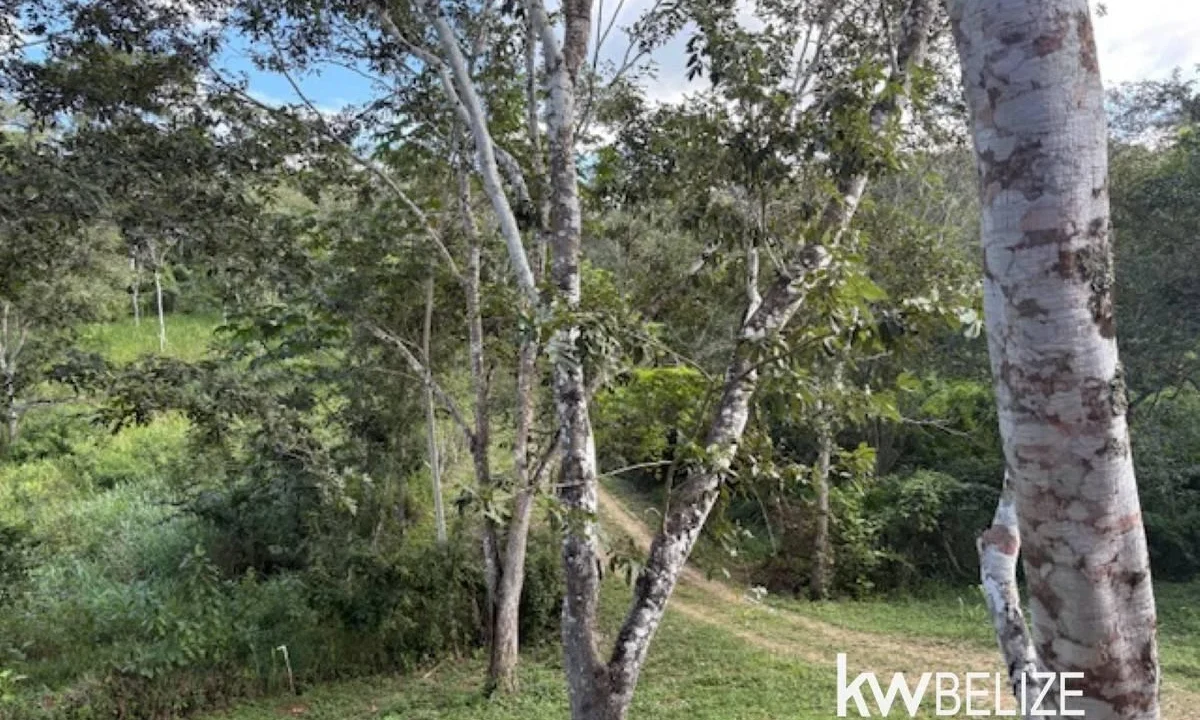 kellerwilliamsbelize-lh202601cc-24