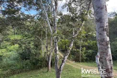 kellerwilliamsbelize-lh202601cc-24