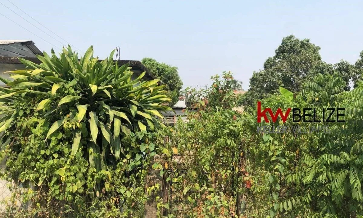 kellerwilliamsbelize-lh272405si-04
