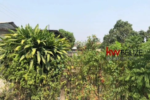 kellerwilliamsbelize-lh272405si-04