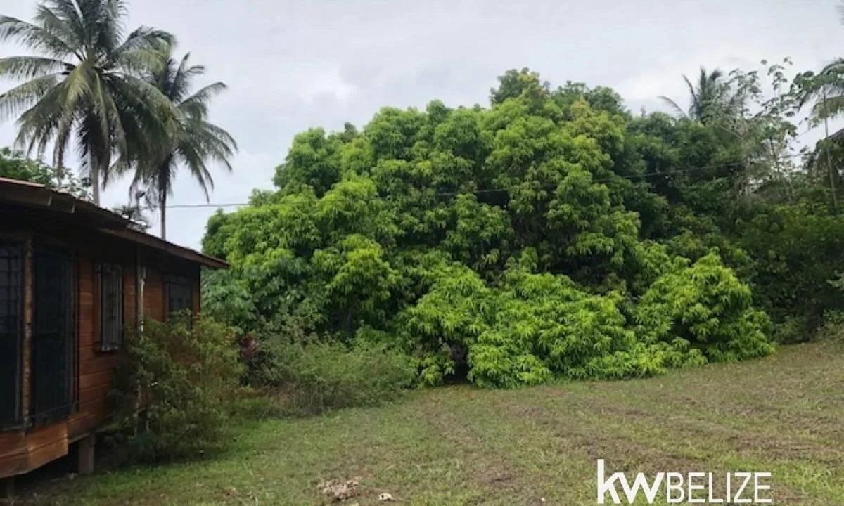 kellerwilliamsbelize-lh282505sa-04