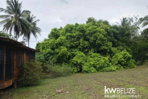 kellerwilliamsbelize-lh282505sa-04