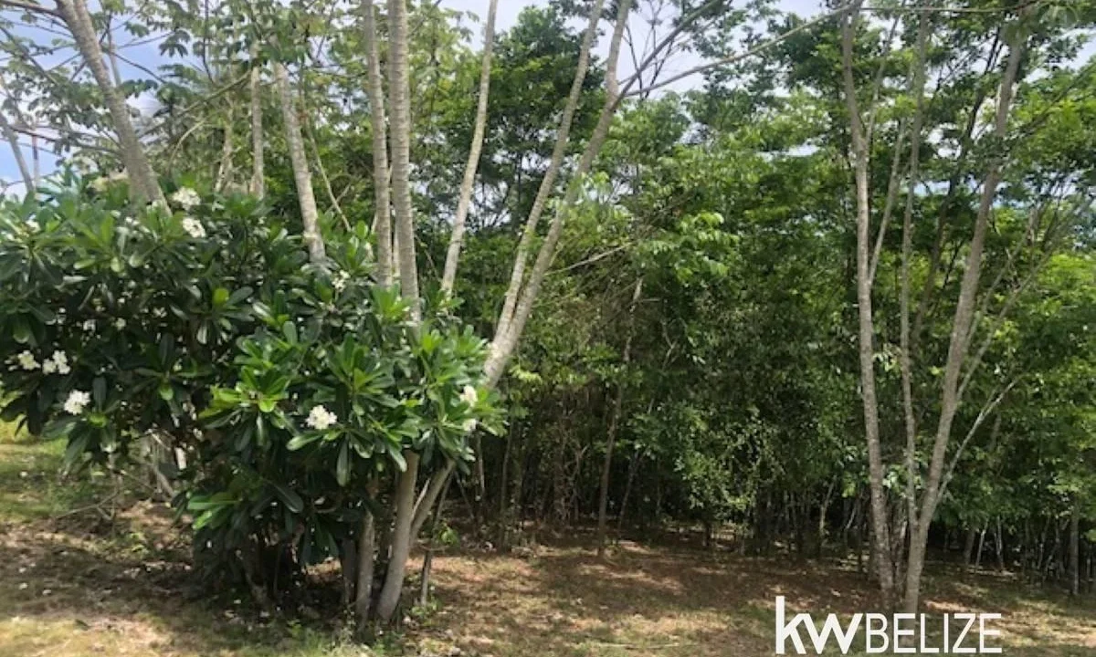 kellerwilliamsbelize-lh282505sa-21
