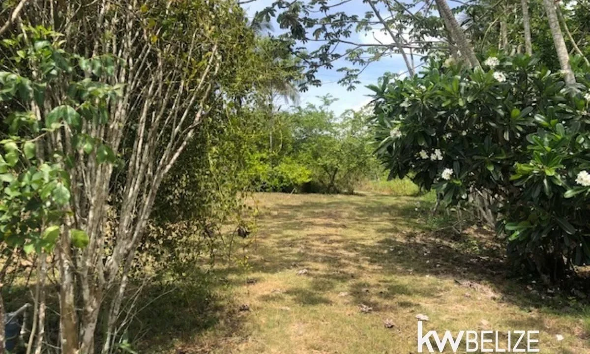 kellerwilliamsbelize-lh282505sa-22