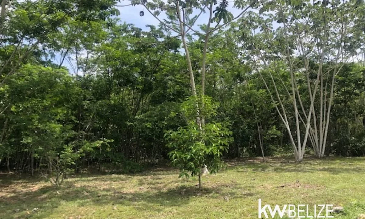 kellerwilliamsbelize-lh282505sa-26