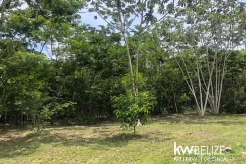 kellerwilliamsbelize-lh282505sa-26