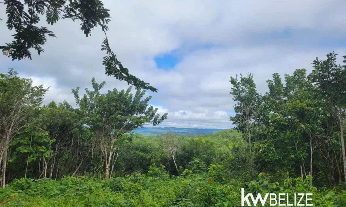 kellerwilliamsbelize-ll032508cc-01