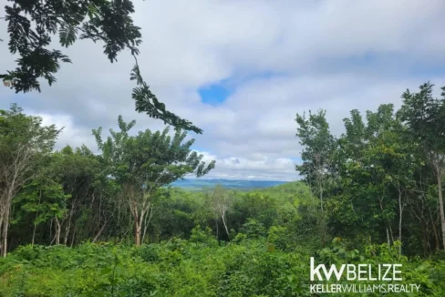 kellerwilliamsbelize-ll032508cc-01