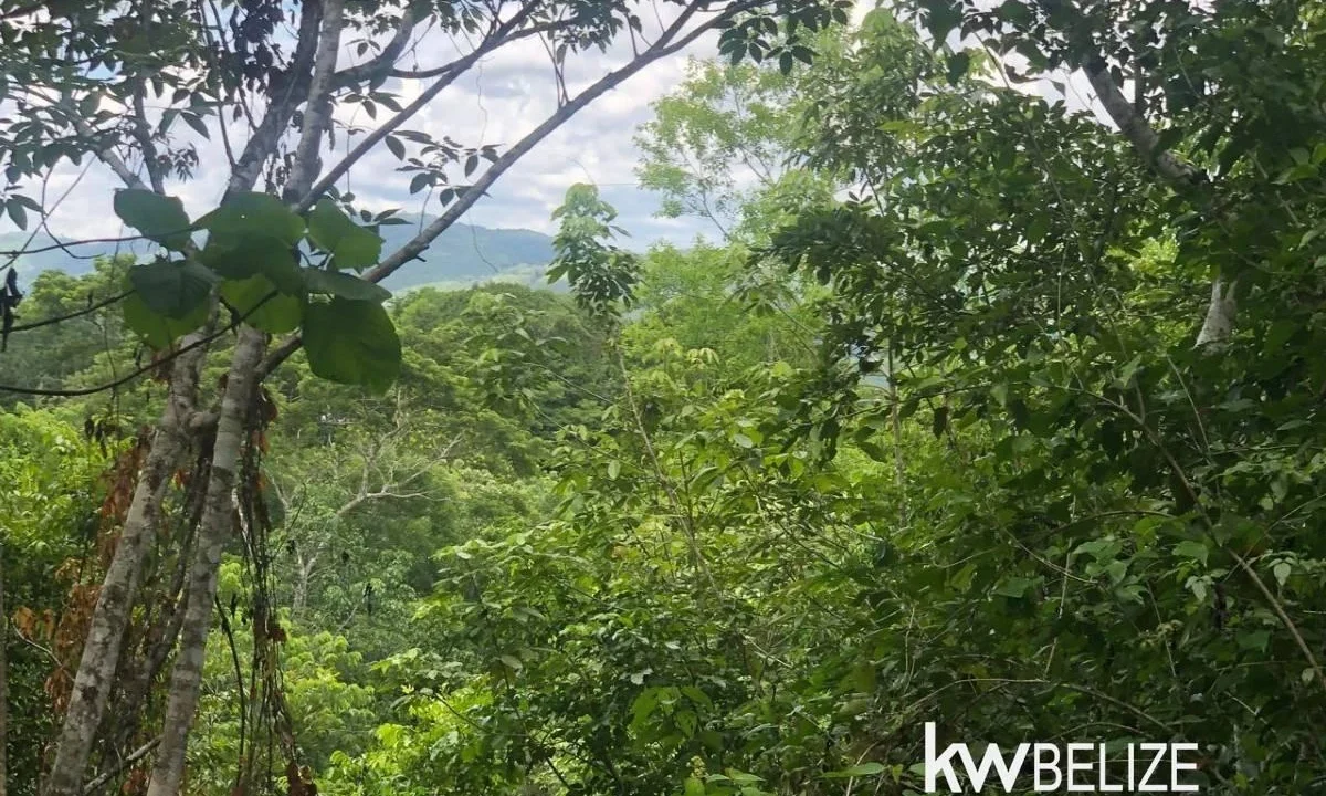kellerwilliamsbelize-ll032508cc-02