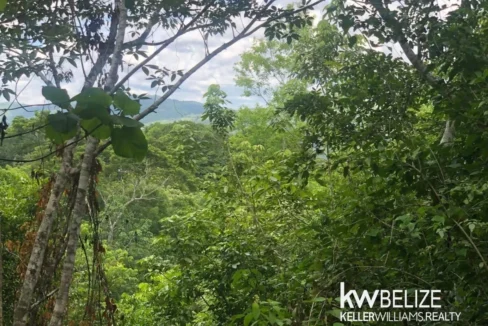 kellerwilliamsbelize-ll032508cc-02