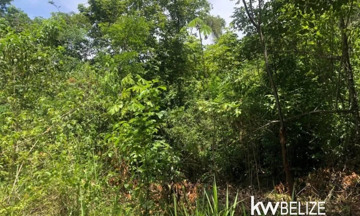 kellerwilliamsbelize-ll032508cc-03