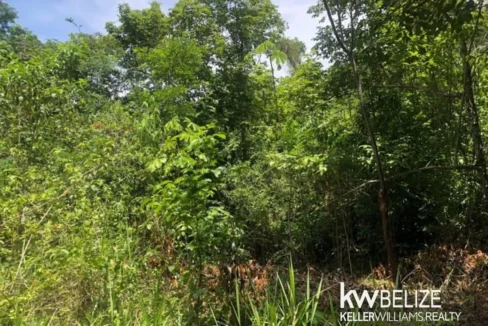 kellerwilliamsbelize-ll032508cc-03