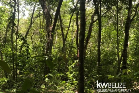 kellerwilliamsbelize-ll032508cc-04