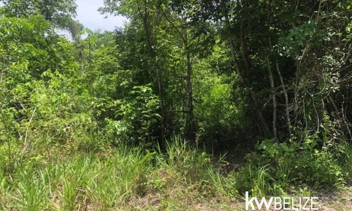kellerwilliamsbelize-ll032508cc-05