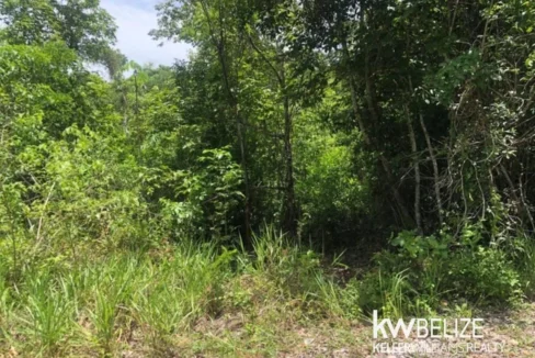kellerwilliamsbelize-ll032508cc-05