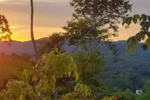 kellerwilliamsbelize-ll032508cc-06