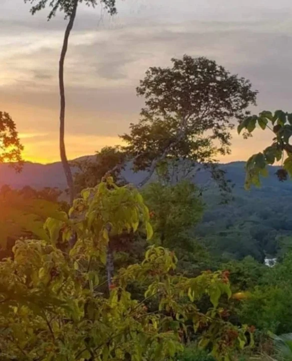 kellerwilliamsbelize-ll032508cc-06