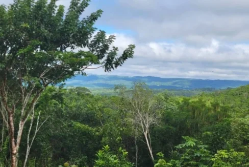 kellerwilliamsbelize-ll032508cc-07