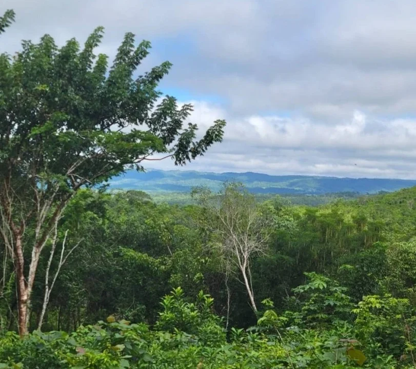 kellerwilliamsbelize-ll032508cc-07