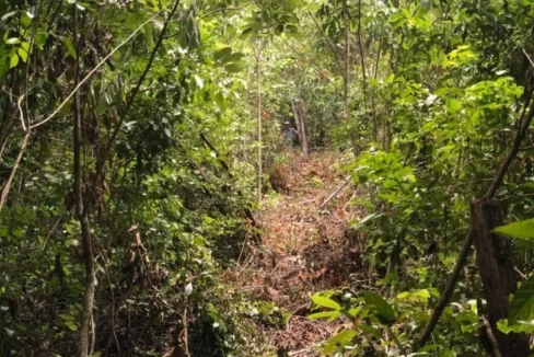kellerwilliamsbelize-ll032508cc-08