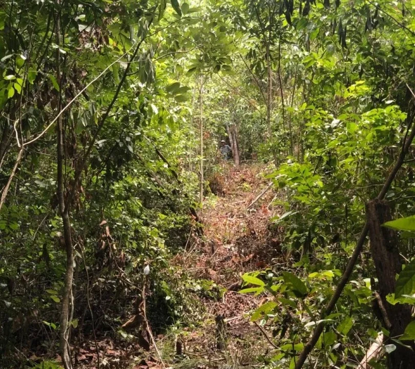 kellerwilliamsbelize-ll032508cc-08