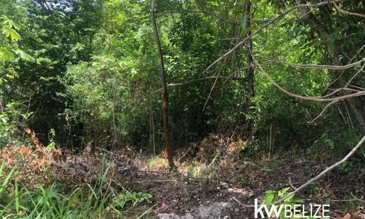 kellerwilliamsbelize-ll032508cc-09