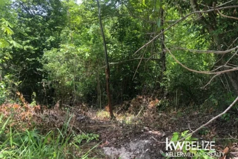 kellerwilliamsbelize-ll032508cc-09