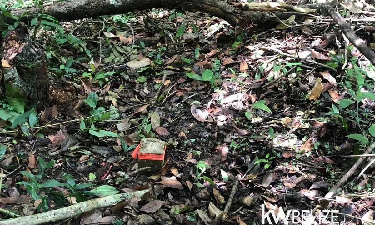 kellerwilliamsbelize-ll032508cc-10