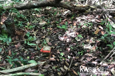 kellerwilliamsbelize-ll032508cc-10